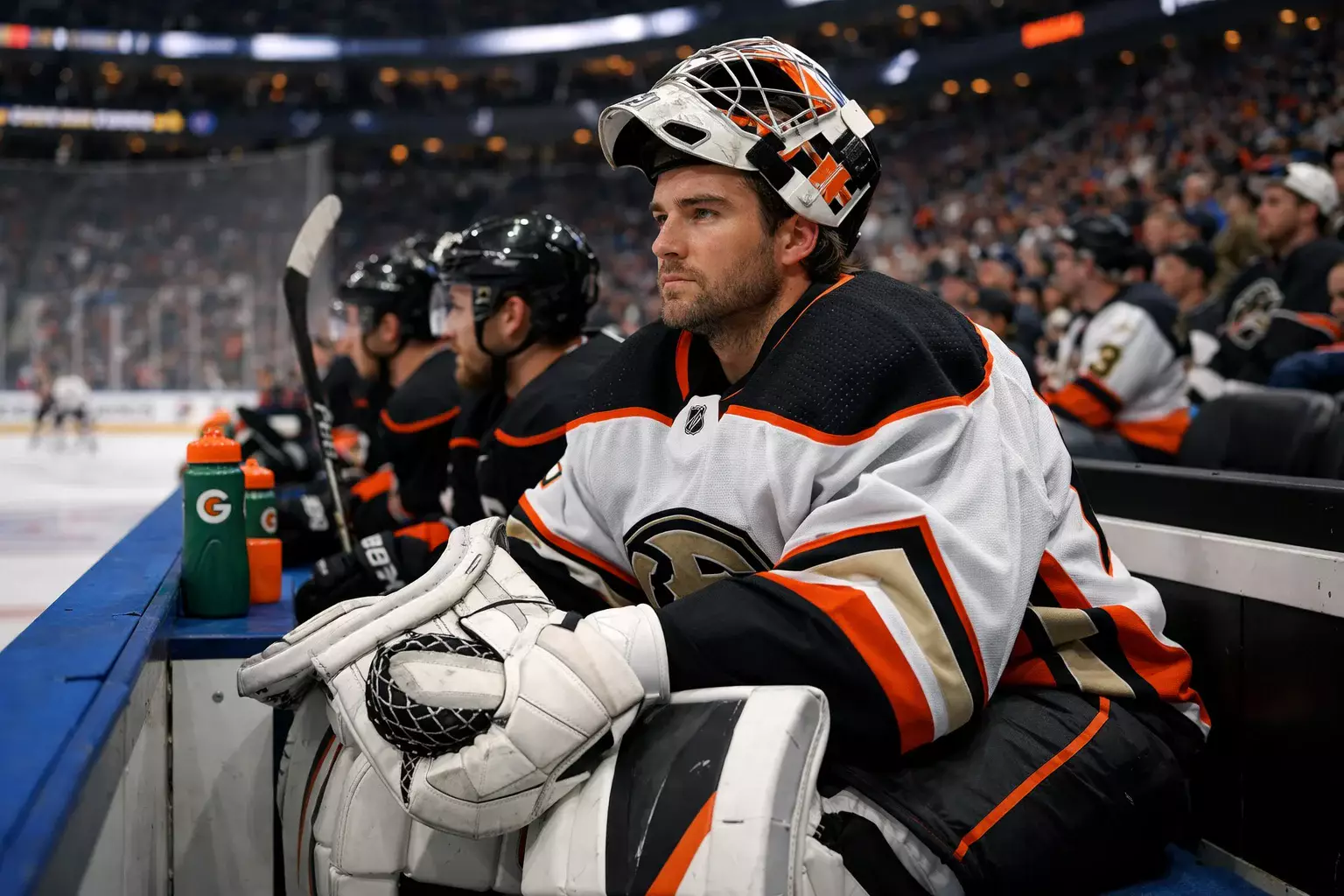 Backup goaltender watching game from the bench